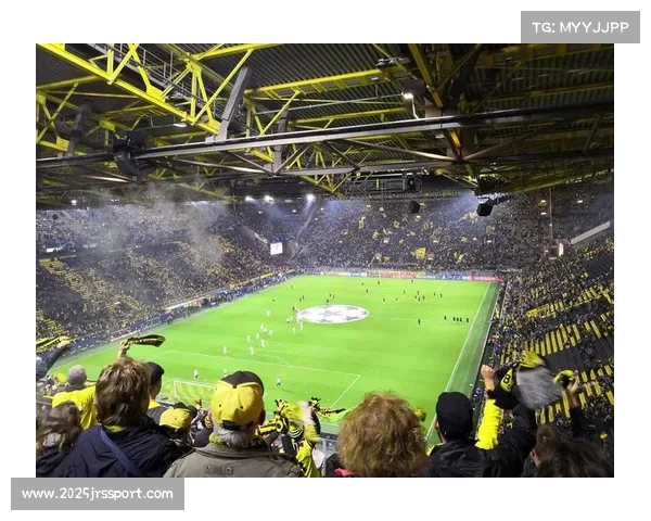 威斯特法伦主场上座率领跑欧洲，球迷文化成德甲名片